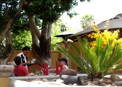 Enjoy the scenery at Las Casuelas Nuevas!