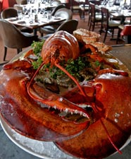 Lobster